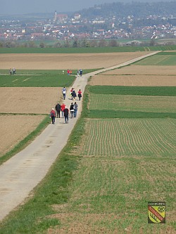 Wandertag 2017 Tailfingen - Wanderstrecke